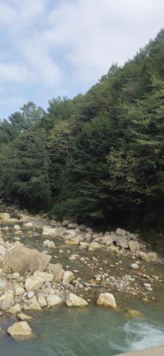 عکس تنگه دار