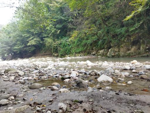 عکس تنگه دار