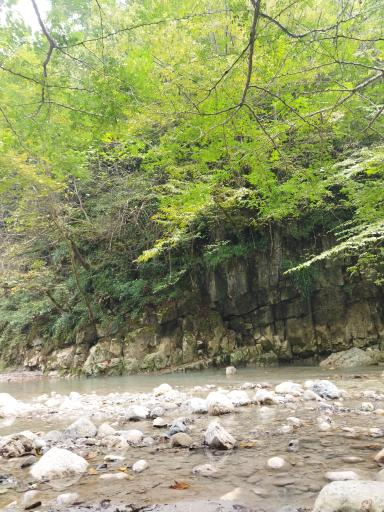 عکس تنگه دار