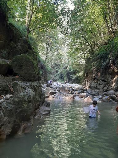 عکس تنگه دار