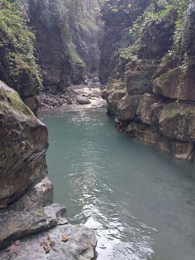 عکس تنگه دار