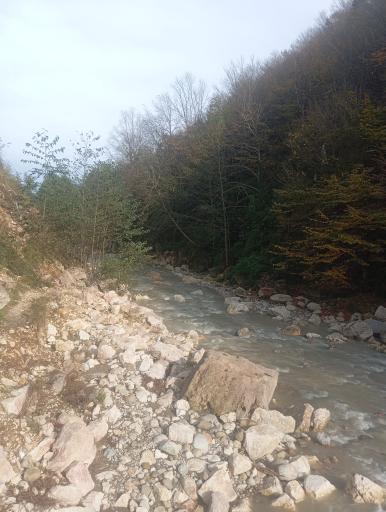 عکس تنگه دار