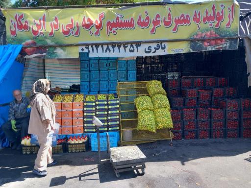 عکس آبگیری لیمو غوره گوجه و مرکبات باقری