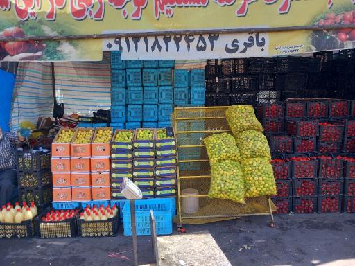 عکس آبگیری لیمو غوره گوجه و مرکبات باقری