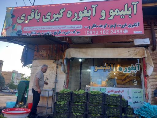 عکس آبگیری لیمو غوره گوجه و مرکبات باقری