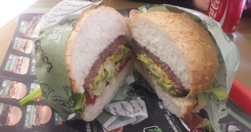 عکس فست فود سورنا