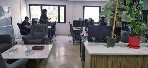 عکس گروه ردلیمو