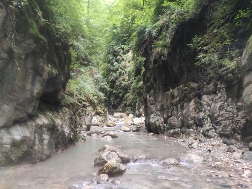 عکس تنگه دار