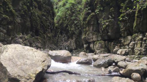 عکس تنگه دار