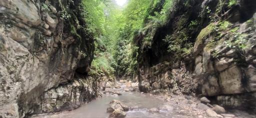 عکس تنگه دار