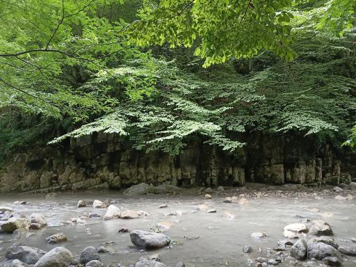عکس تنگه دار