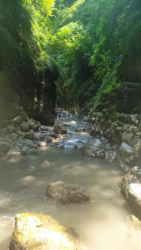عکس تنگه دار