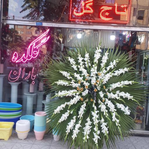 عکس گلکده باران