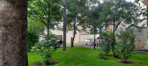 عکس بوستان توحید