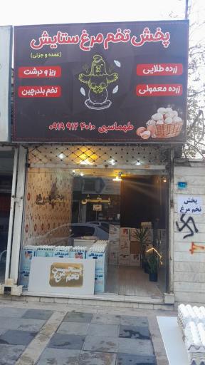 عکس پخش تخم مرغ ستایش