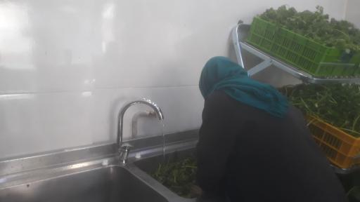 عکس سبزی خرد کنی قشنگه مجتبی