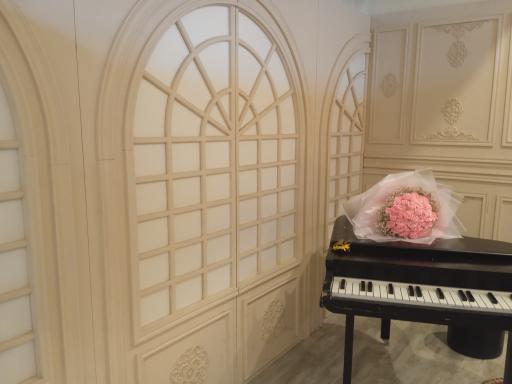 عکس آتلیه ارغوان