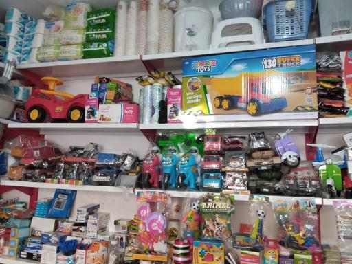 عکس پلاسکو محمدی