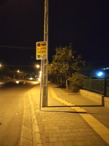 عکس  انتهای ارغوان