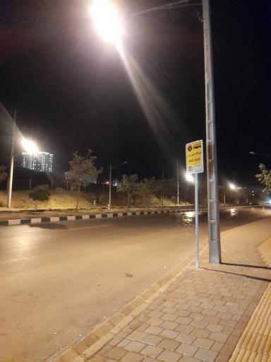 عکس  انتهای ارغوان