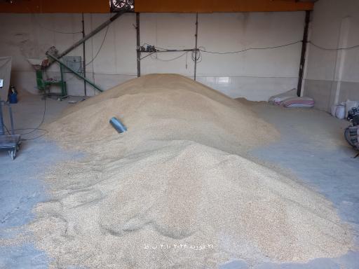 عکس شرکت تعاونی دامداران خوراک دام