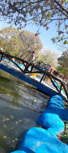 پارک جنگلی باغمیشه