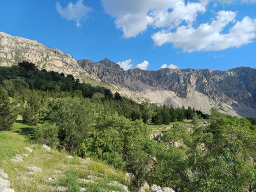 عکس تنگ سولک