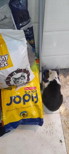 عکس دیاکو پت شاپ