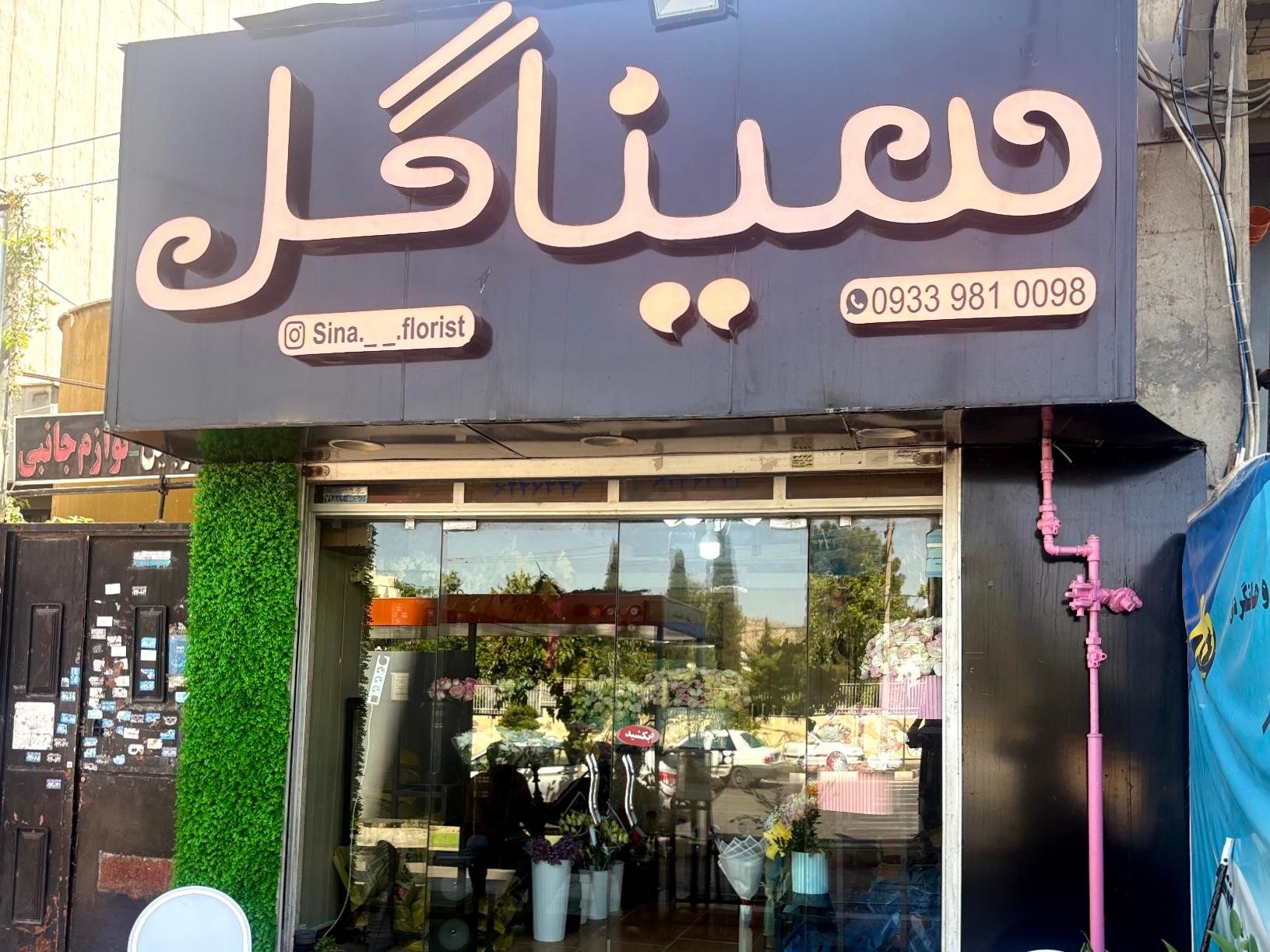 عکس سینا گل