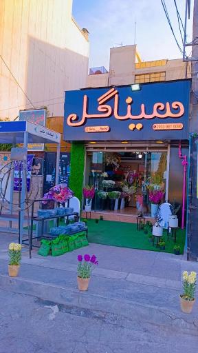 عکس سینا گل