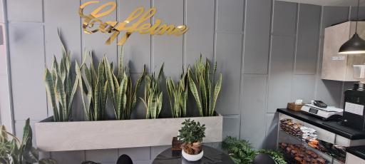 عکس کافه سوکا