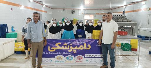 عکس شرکت ماهان ساحل جنوب اروند