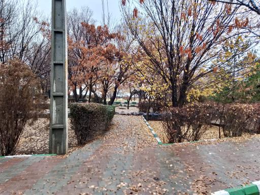 عکس پارک جنگلی باغمیشه