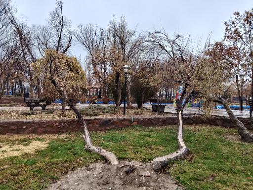 عکس پارک جنگلی باغمیشه