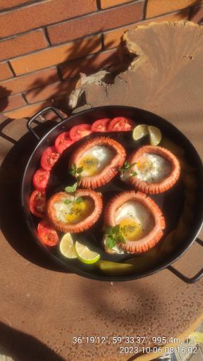 عکس کافی شاپ بلک آرمادیلو