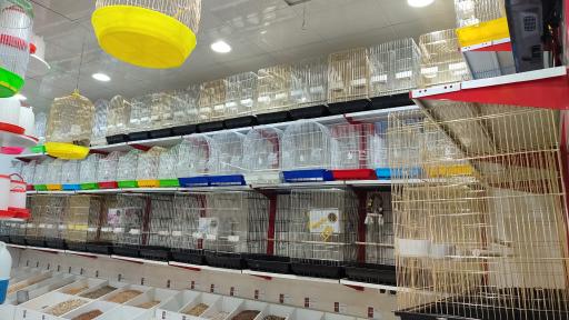 عکس هایپر پرنده ماهان