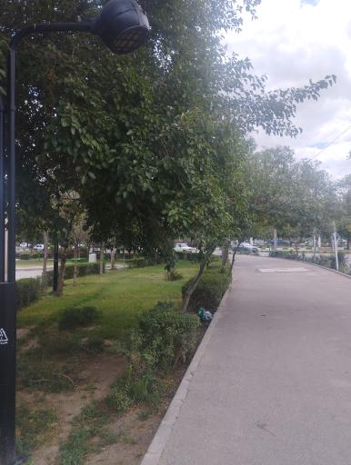 عکس بوستان سپیدار