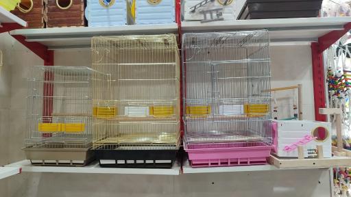 عکس هایپر پرنده ماهان