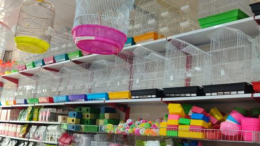 عکس هایپر پرنده ماهان