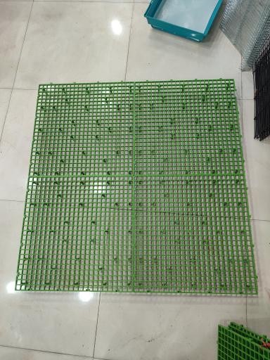 عکس هایپر پرنده ماهان