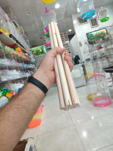 عکس هایپر پرنده ماهان