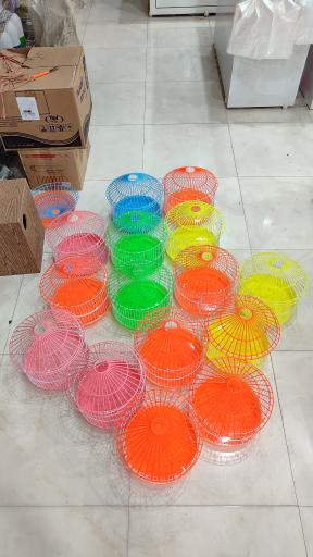 عکس هایپر پرنده ماهان