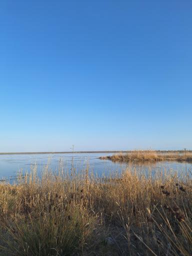 عکس تالاب آلاگل