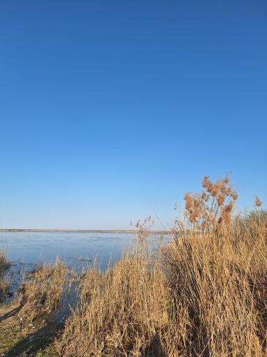 عکس تالاب آلاگل