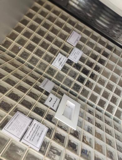 عکس مجموعه ورزشی شهید کاظمی