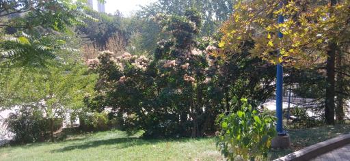 عکس بوستان گفتگو