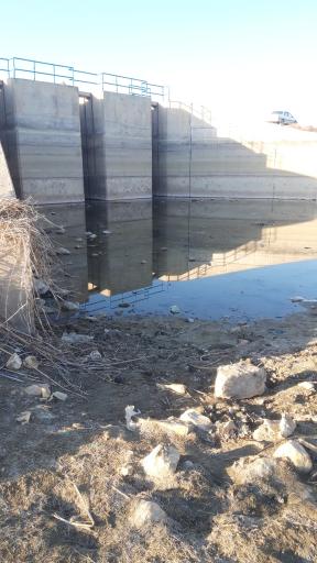 عکس تالاب آلاگل