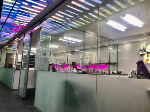 عکس دکتر امیر مرادی متخصص ارتودنسی