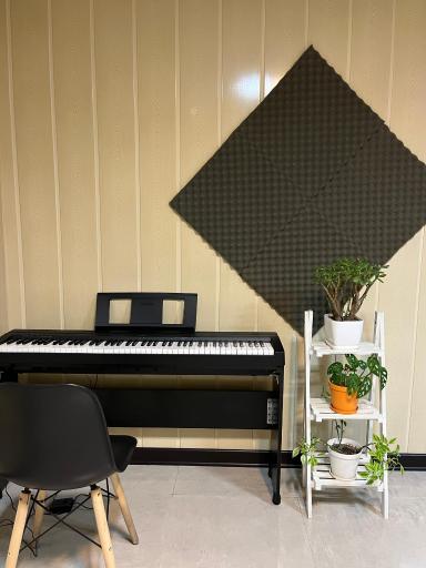 عکس آموزشگاه موسیقی چکاوک