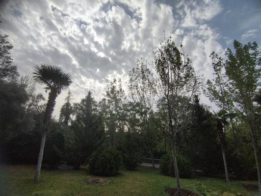 عکس بوستان گفتگو